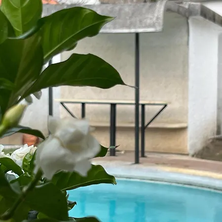 Magiko Suites Roldanillo Exterior photo